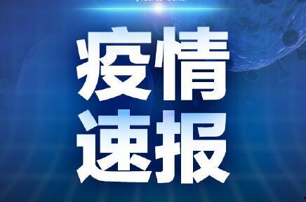 青岛隔离最新爆料新闻,揭秘隔离政策调整与居民生活影响